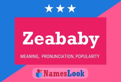 Pôster do nome Zeababy